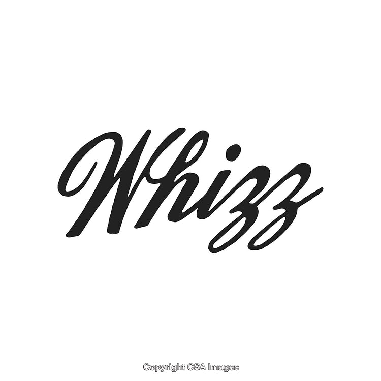 Stylish Typography Design Featuring the Word 'Whizz' in Elegant Cursive Script