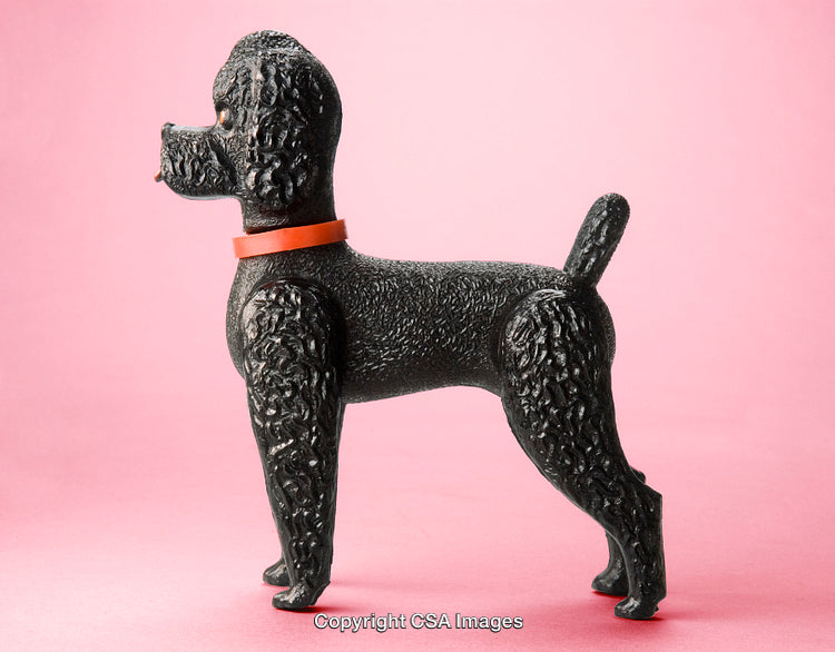 Black Poodle Toy on a Pink Background with Red Collar
