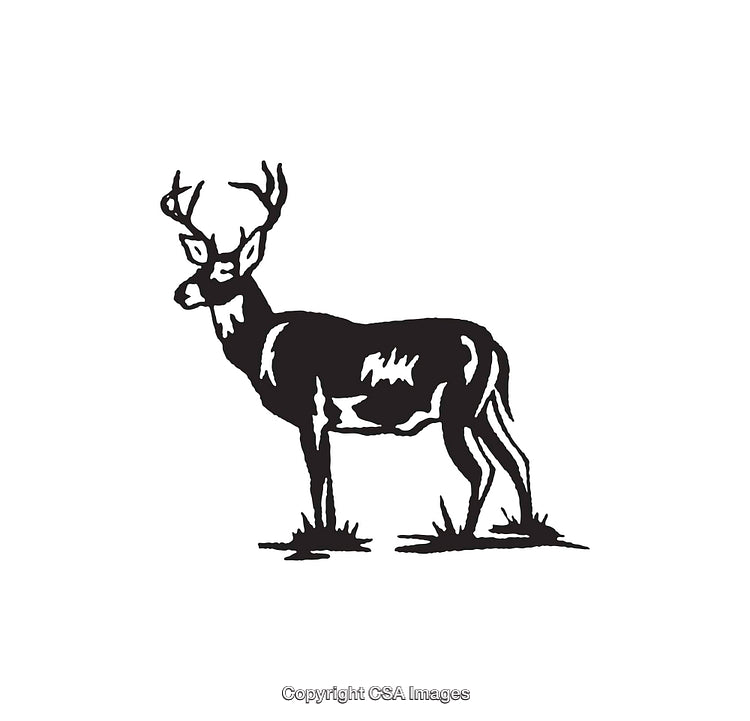 Black and White Line Art Illustration of a Standing Deer with Antlers