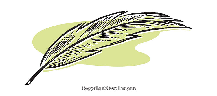 Hand-Drawn Illustration of a Feather with a Green Background Accent