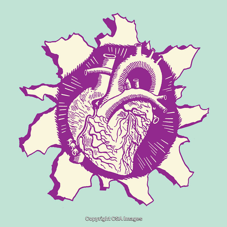 Purple Anatomical Heart Illustration in Vintage Style on Teal Background