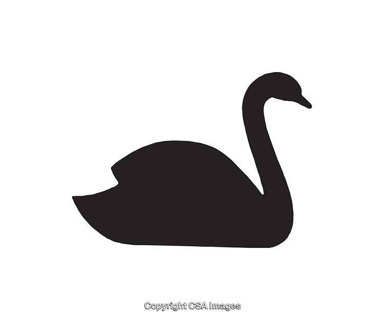 Silhouette of a Graceful Swan in Black on White Background