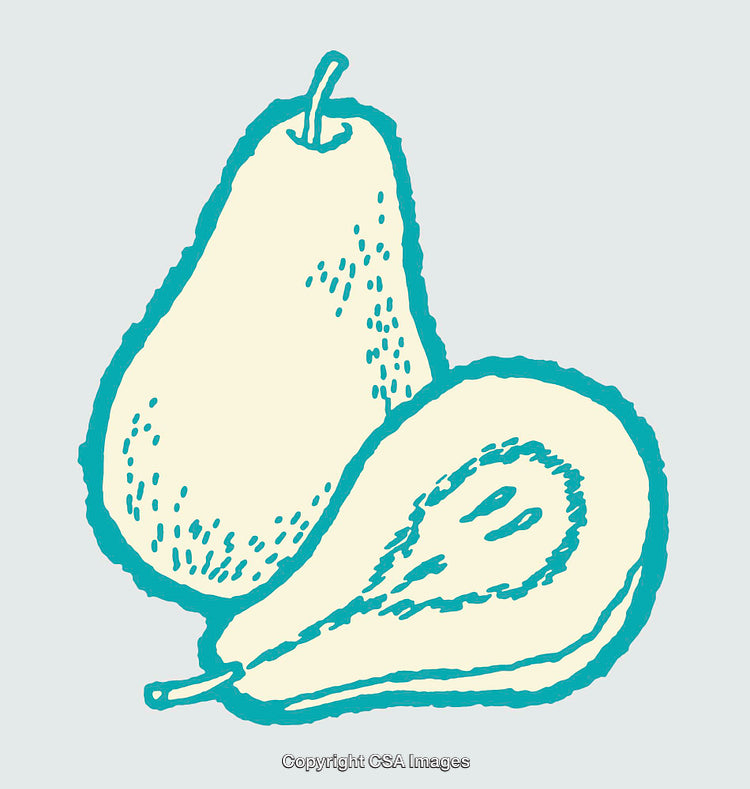 Color Line Art Illustration of Whole and Sliced Pear Fruits