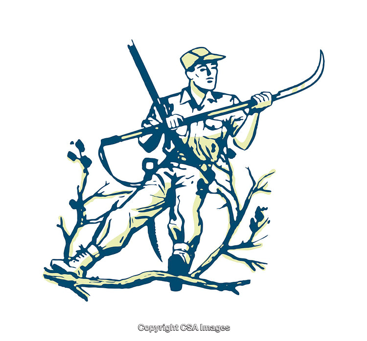 Colorful Illustration of a Hunter Sitting on a Tree Holding Equipment
