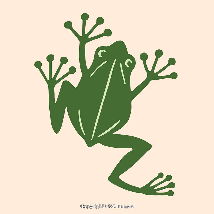 Stylized Green Frog Illustration on a Light Background
