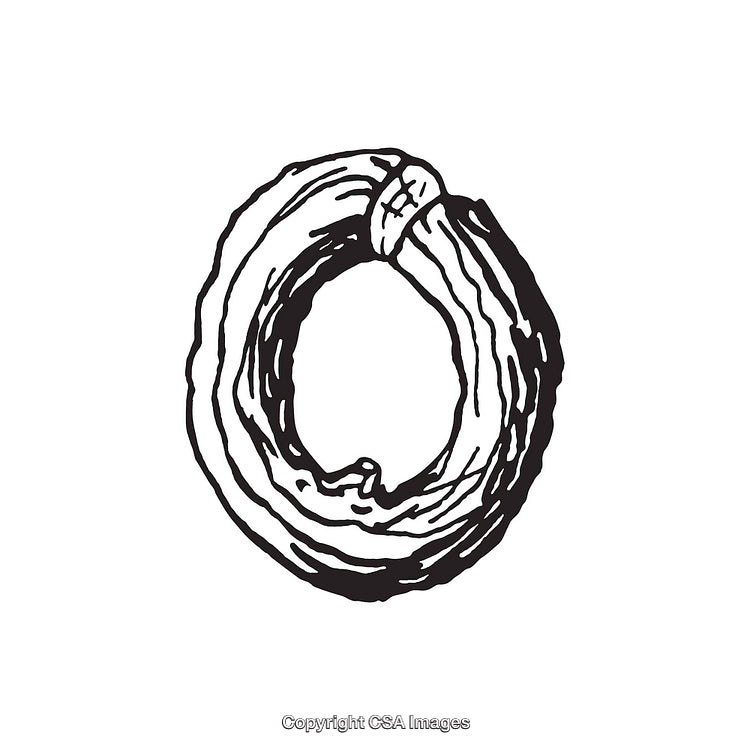 Hand-Drawn Illustration of the Letter O in Monochrome Style