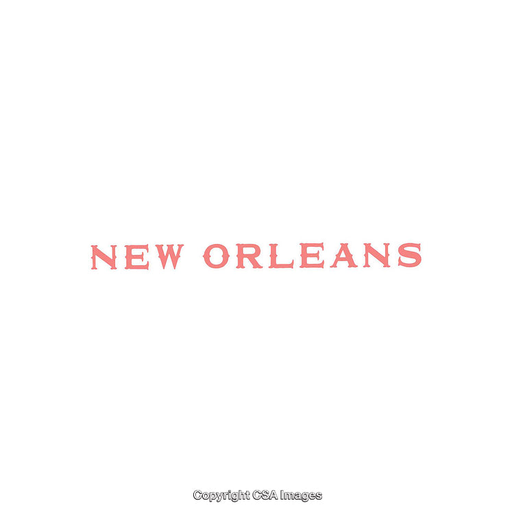 Stylized New Orleans Text on a Minimalistic White Background