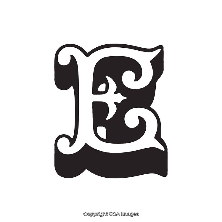 Intricately Designed Calligraphic Letter E in Black and White Style