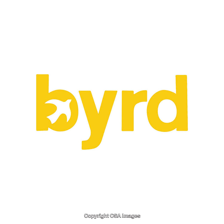 Simple Yellow Typographic Logo Design with Bird Motif in the Letter B