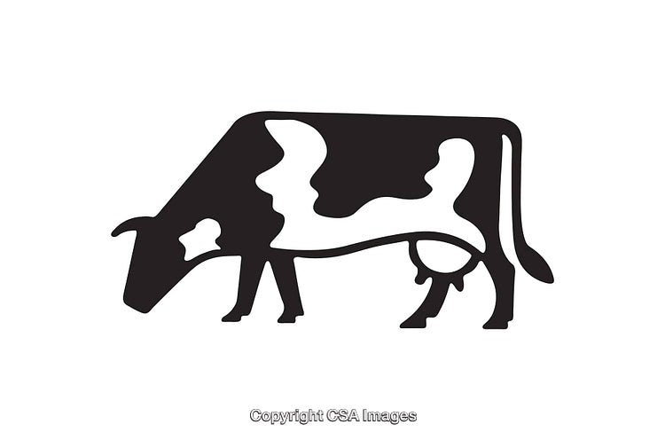 Silhouette of a Grazing Cow in Minimalist Black and White Style