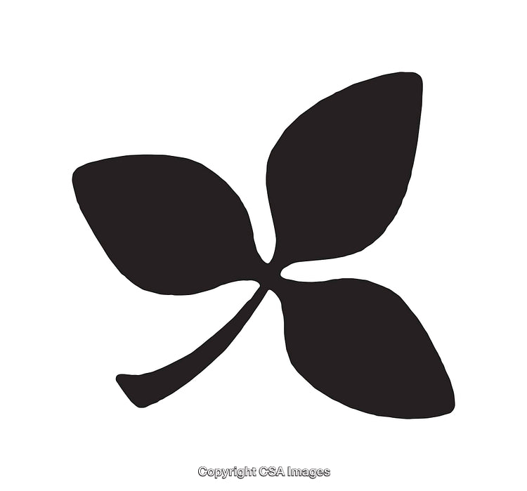 Minimalistic Black Four Leaf Line Art on White Background