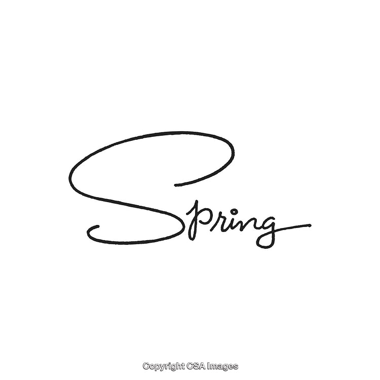 Elegant Handwritten Word Art Featuring 'Spring' in Modern Calligraphy