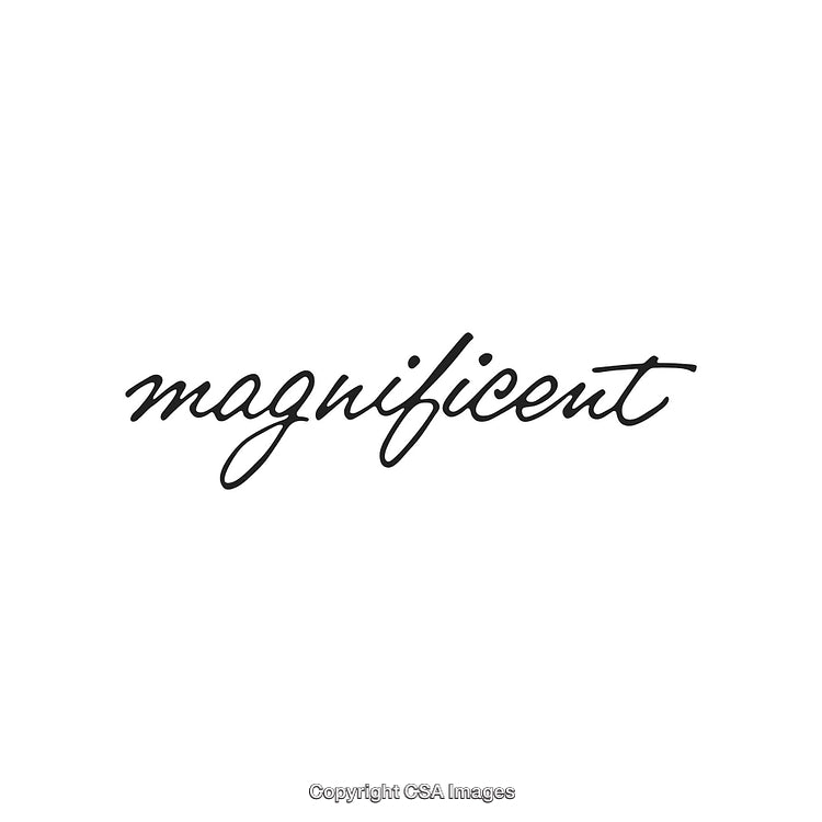Elegant Calligraphy of the Word Magnificent in Black Letters on White
