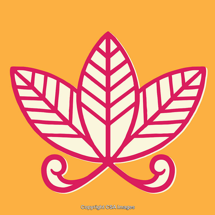 Abstract Line Art Illustration of a Pink Floral Symbol on an Orange Background