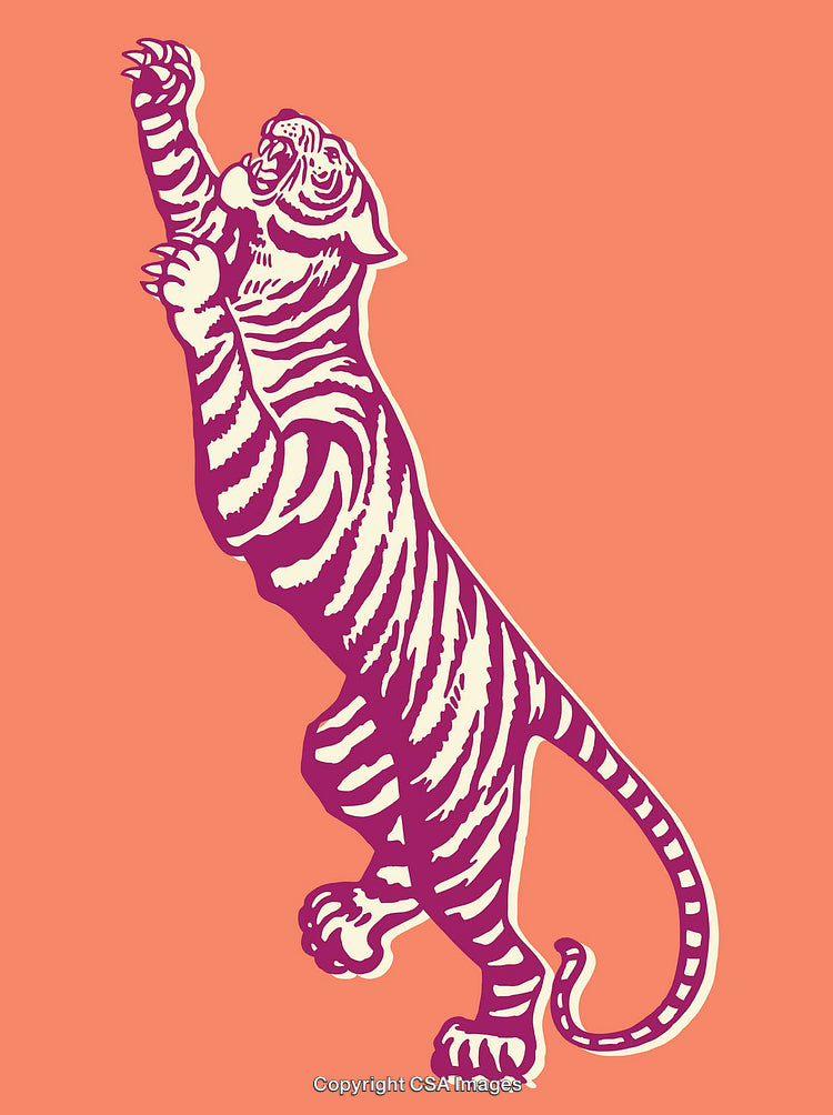 Colorful Line Art Illustration of a Tiger in a Dynamic Pose