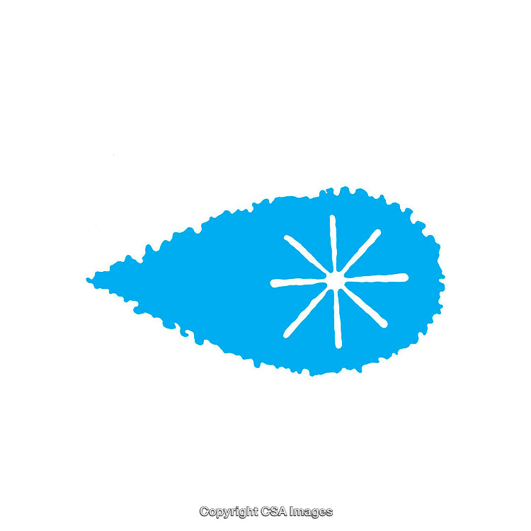 Abstract Blue Teardrop Shape With White Central Star Design