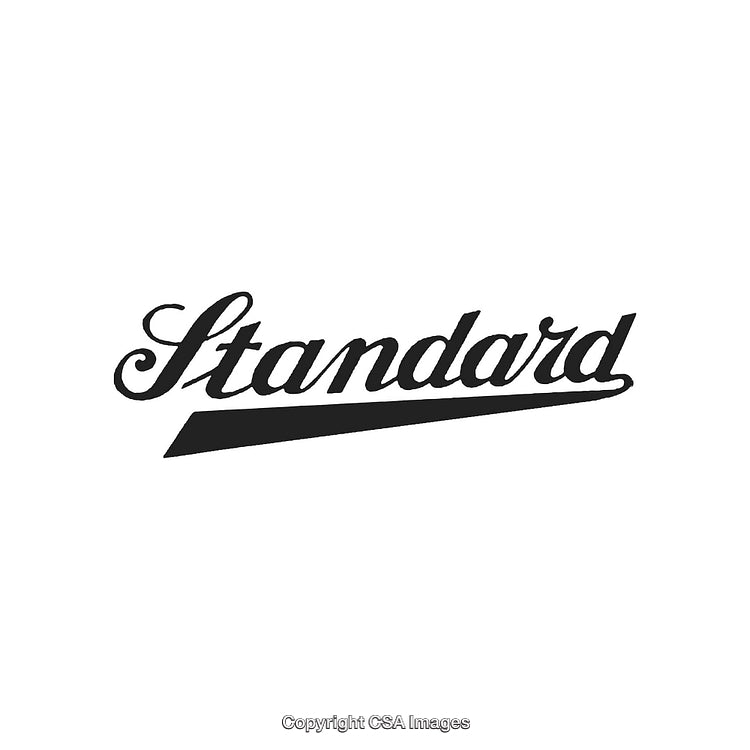 Stylized Typography Design Displaying Bold 'Standard' in Black on White