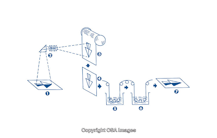 Diagram Representing a Schematic Workflow Process with Illustrated Steps