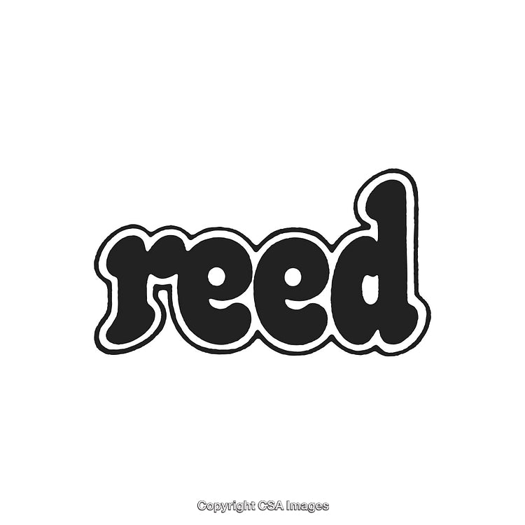 Stylized Word 'Reed' in Black Bold Text with Playful Typography