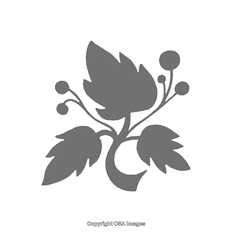 Elegant Silhouette of a Decorative Floral Design with Leaves and Buds