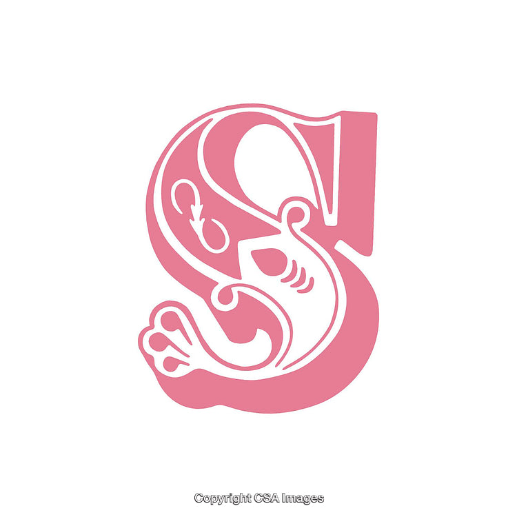 Elegant Ornamental Letter S in a Decorative Pink Design