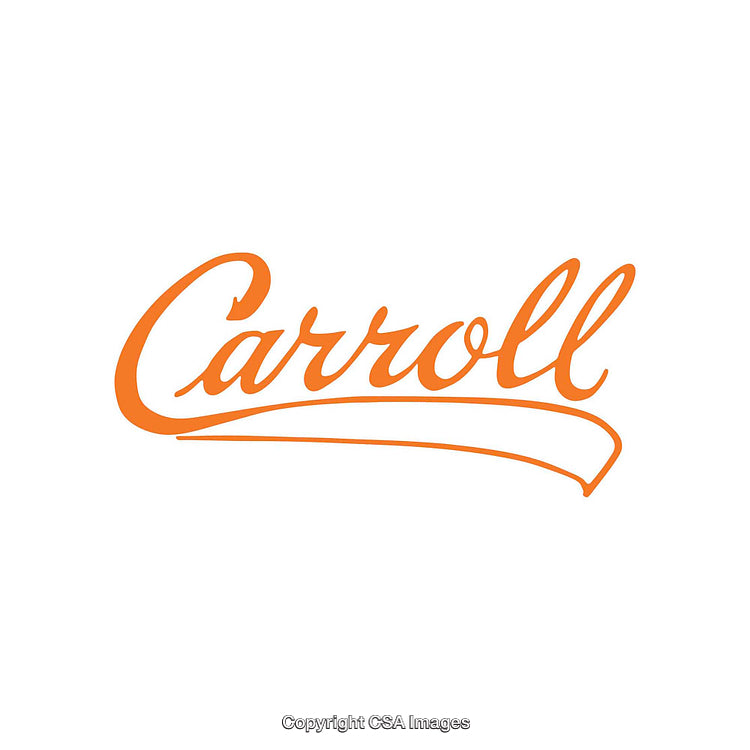 Stylish Orange Script Font Design with Elegant Curved Decoration