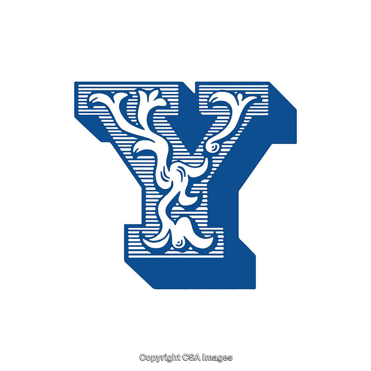 Elegant Typographic Design Featuring the Letter Y with Ornate Details