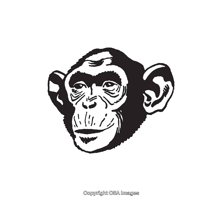 Black and White Line Art Illustration of a Monkey's Head