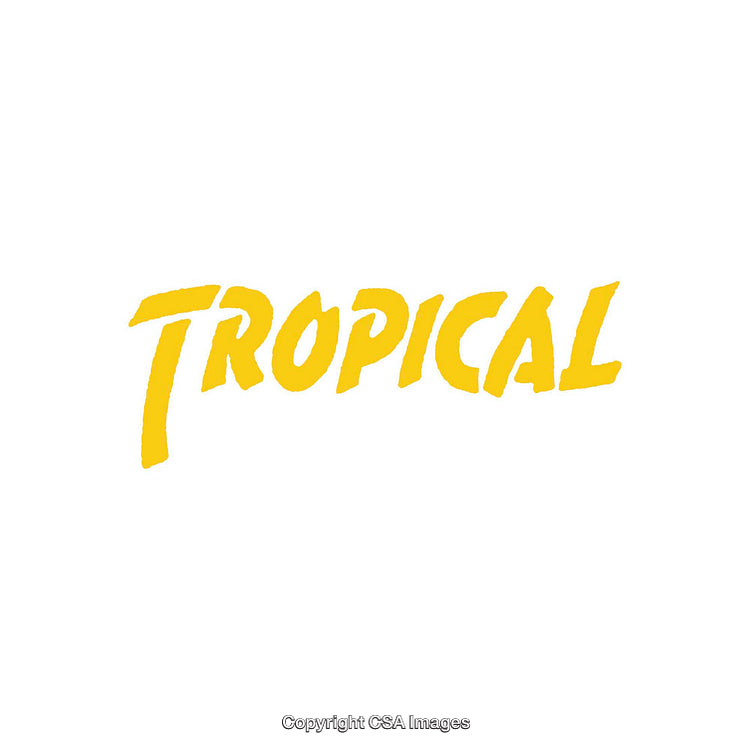 Bright Yellow Tropical Text Design on a White Background