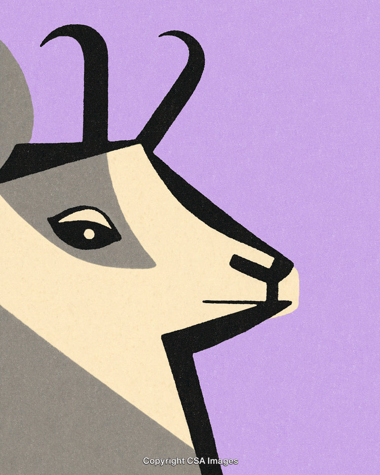 Stylized Illustration of a Goat With a Minimalist Art Style