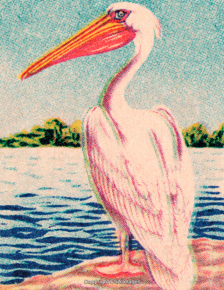 Vintage Artwork of White Pelican by a Lakeside with a Scenic Background