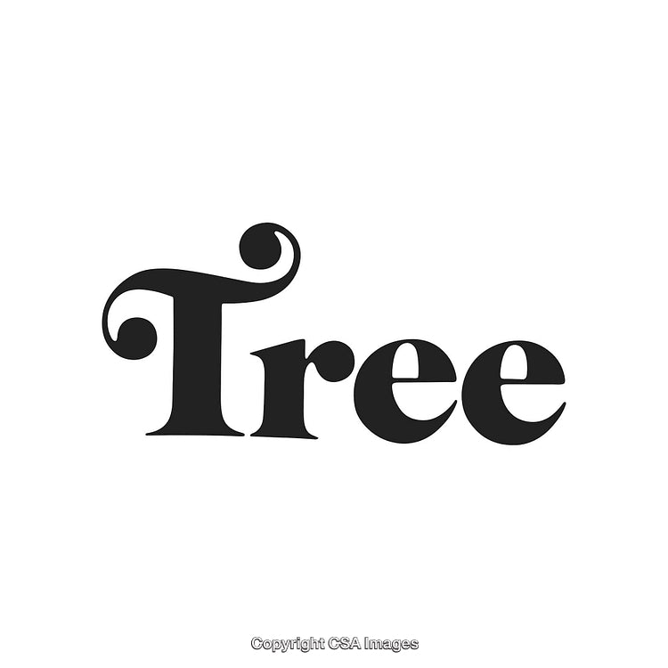 Elegant Black Text Logo Featuring a Stylish Font On a White Background