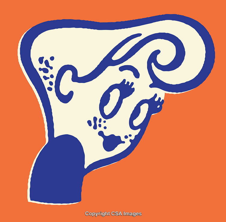 Color Line Art Illustration of a Person's Face in Abstract Style