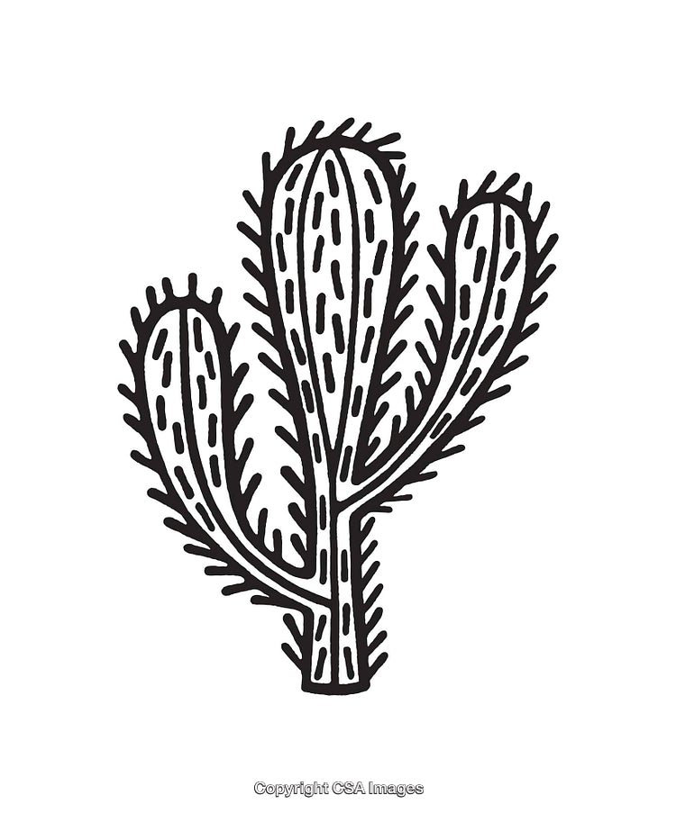 Black and White Line Art Illustration of a Cactus Plant