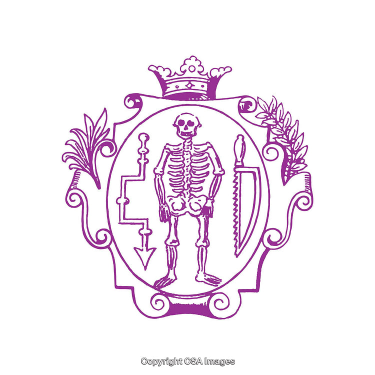 Purple Skeleton Emblem with Crowned Crest and Artisan Symbolism