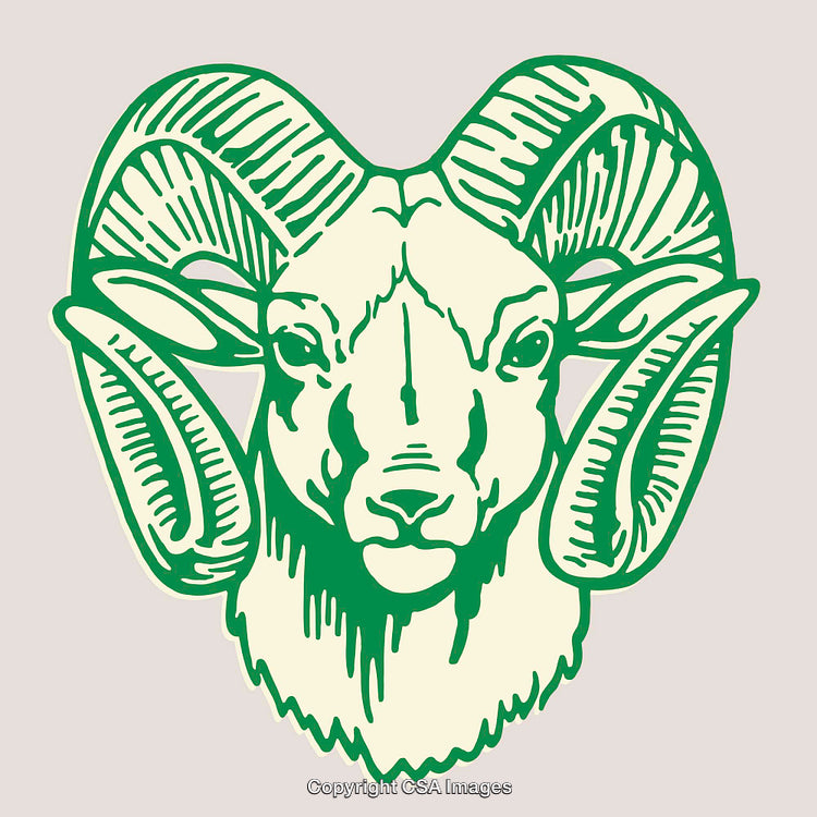 Detailed Green Line Art Illustration of a Ram's Head with Horns