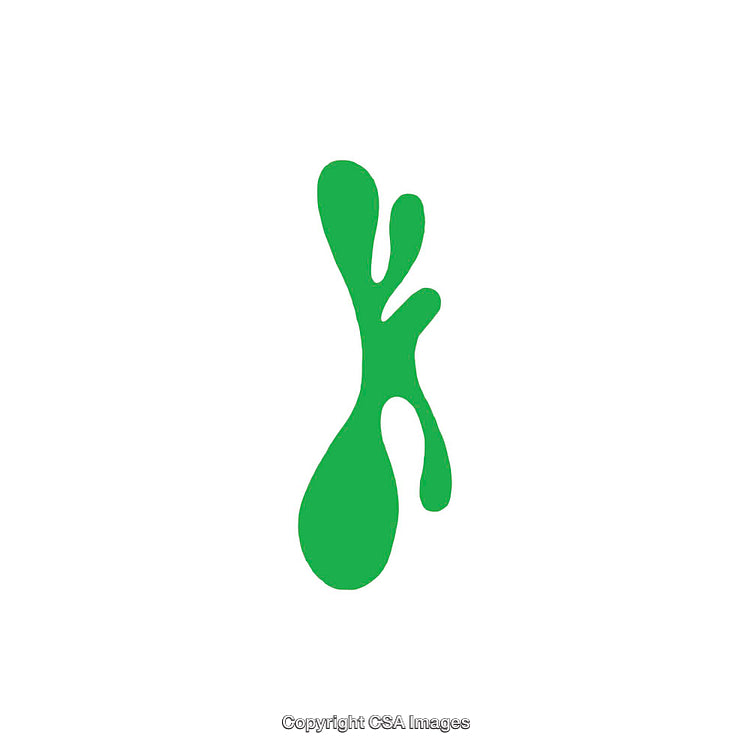 Abstract Green Shape Resembling Organic Splatter on a White Background