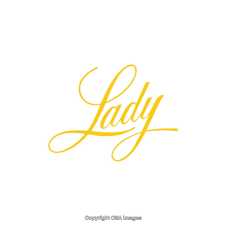 Elegant Yellow Script Calligraphy Text Design on a White Background