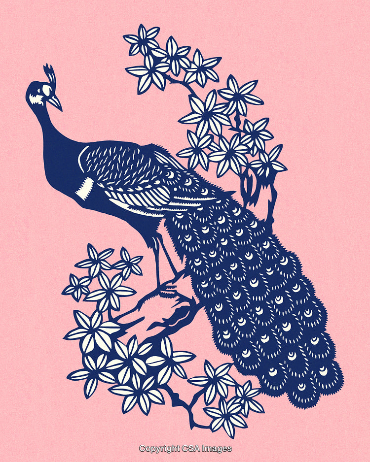 Blue Peacock Illustration Amid Blossoms on Pink Background