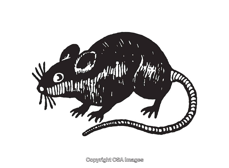 Black and White Line Art Illustration of a Mouse Figure