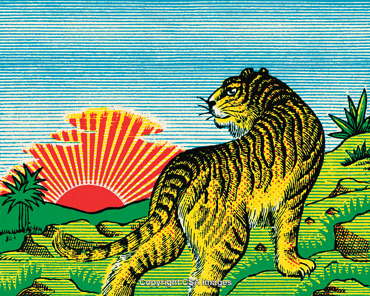 Colorful Illustration of a Tiger with Retro Sunburst Effect in Nature