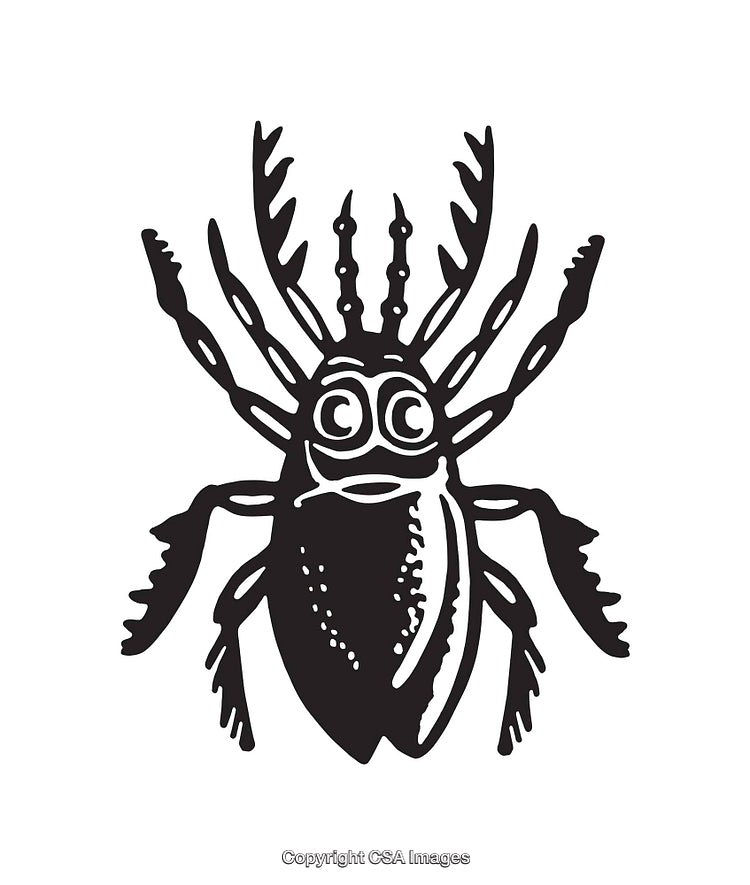 Black and White Line Art of a Curious Insect Illustration