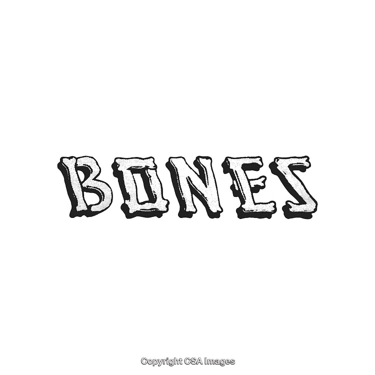 Stylized Typography Depicting the Word Bones in a Skeletal-Like Font Design
