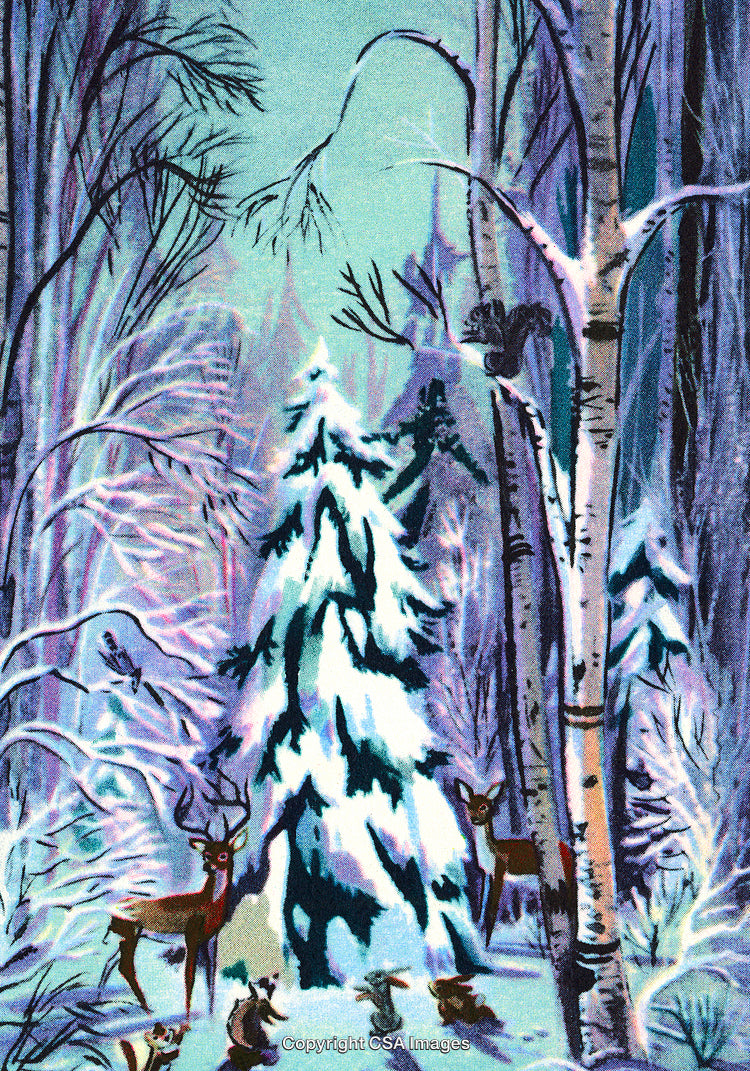 Wintry Forest Scene With Woodland Animals Among The Snow-Covered Trees