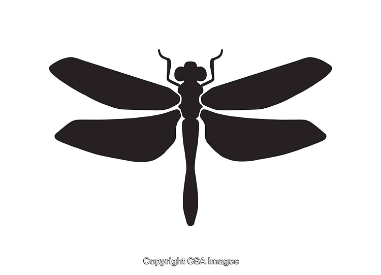 Black And White Silhouette of a Stylized Dragonfly Design