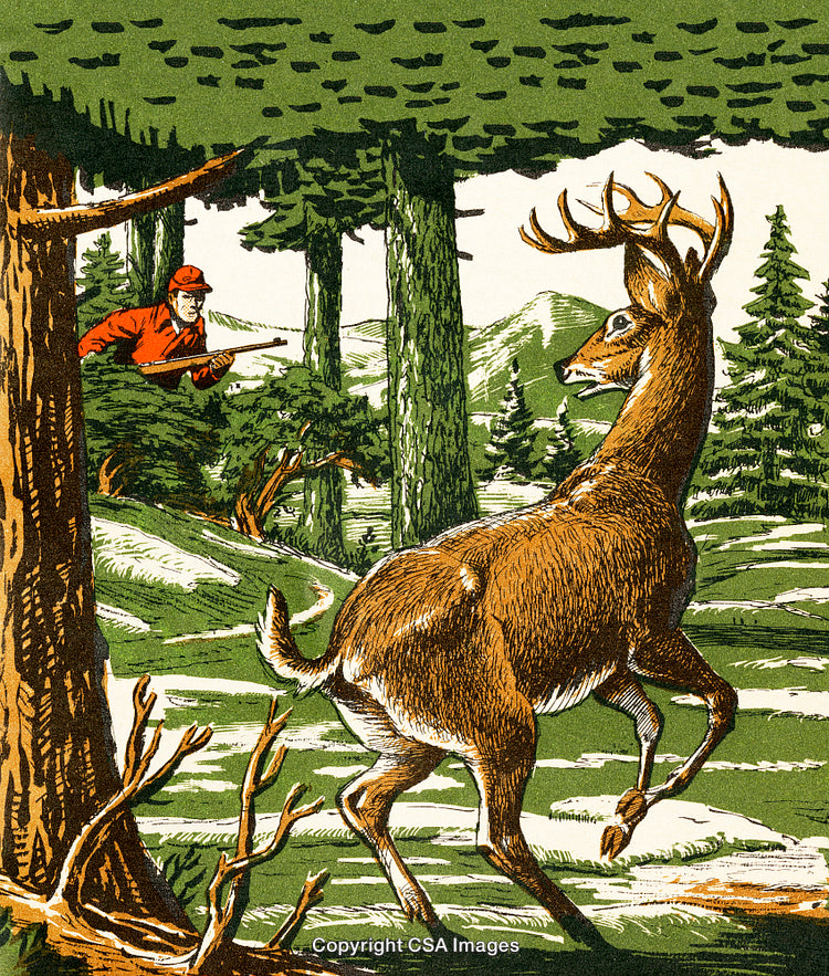 Illustration of a Deer in Forest with a Hunter Observing Nearby