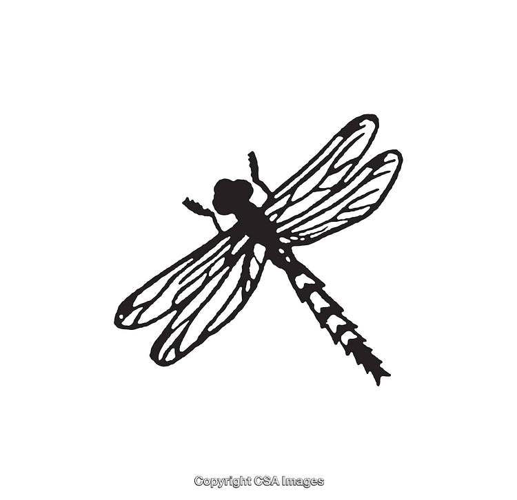 Black and White Line Art of a Dragonfly Silhouette