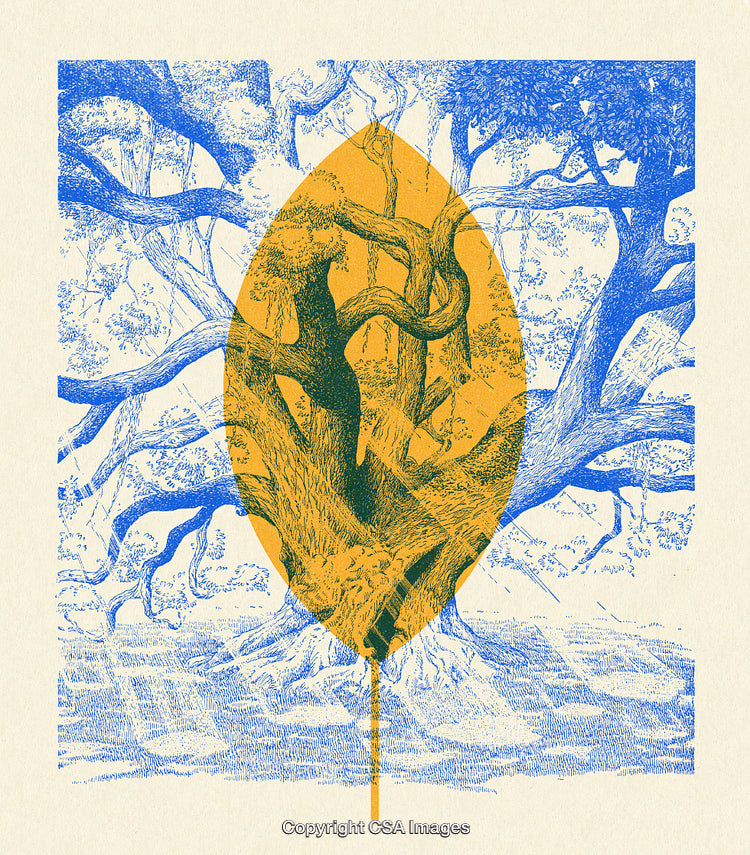Abstract Illustration of a Tree Silhouette Inside a Leaf Composition