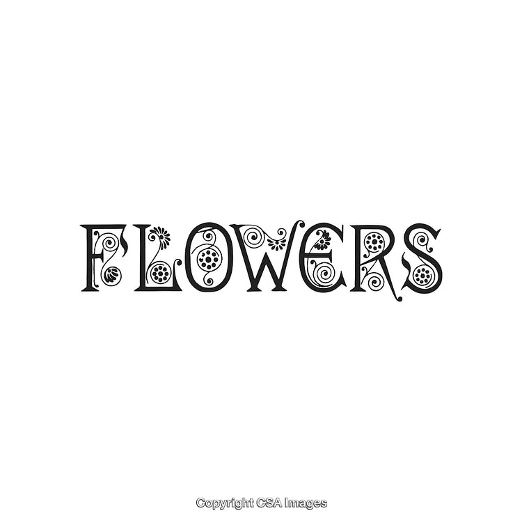 Elegant Floral Typography Design Featuring Decorative Lettering and Floral Motifs