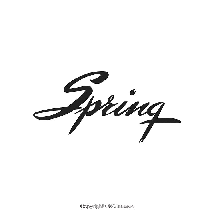 Elegant Handwritten Spring Lettering in Black on a White Background